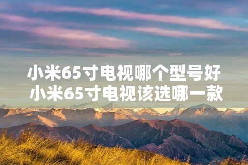 小米65寸电视哪个型号好 小米65寸电视该选哪一款 小米65寸电视哪个型号好 小米65寸电视该选哪一款