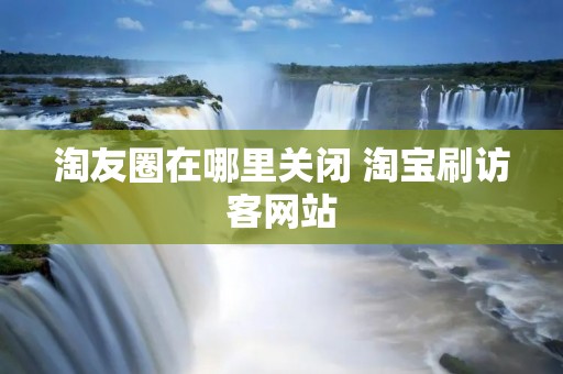 淘友圈在哪里关闭 淘宝刷访客网站