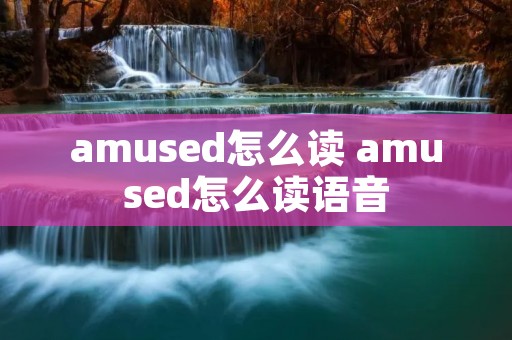 amused怎么读 amused怎么读语音