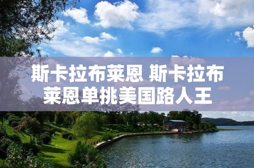 斯卡拉布莱恩 斯卡拉布莱恩单挑美国路人王 斯卡拉布莱恩 斯卡拉布莱恩单挑美国路人王