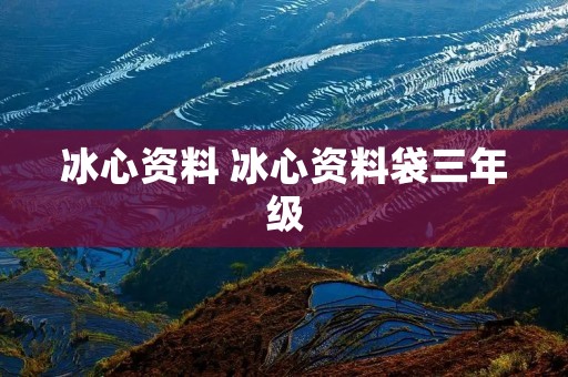 冰心资料 冰心资料袋三年级