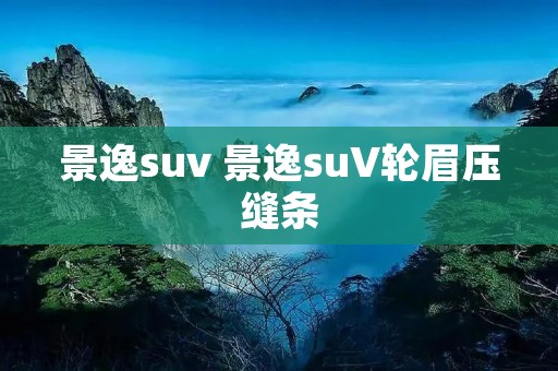 景逸suv 景逸suV轮眉压缝条