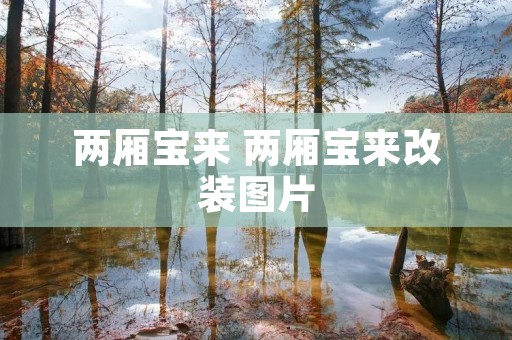 两厢宝来 两厢宝来改装图片