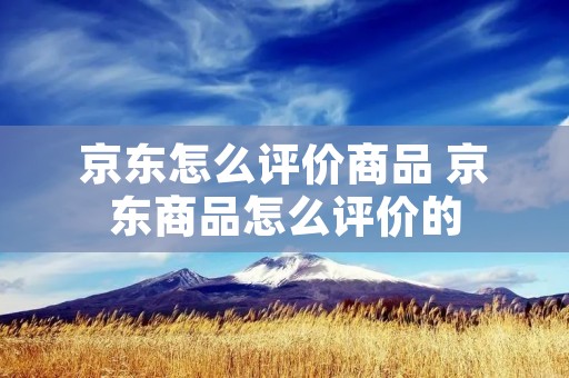 京东怎么评价商品 京东商品怎么评价的