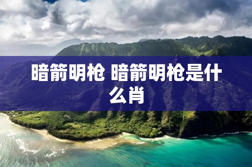 暗箭明枪 暗箭明枪是什么肖
