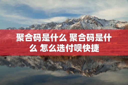 聚合码是什么 聚合码是什么 怎么选付呗快捷 聚合码是什么 聚合码是什么 怎么选付呗快捷