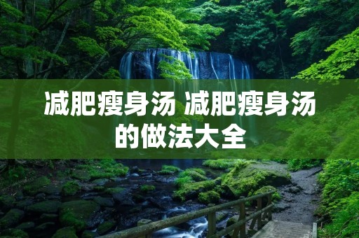 减肥瘦身汤 减肥瘦身汤的做法大全 减肥瘦身汤 减肥瘦身汤的做法大全