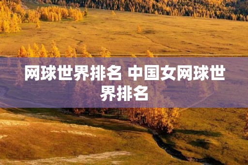 网球世界排名 中国女网球世界排名 网球世界排名 中国女网球世界排名