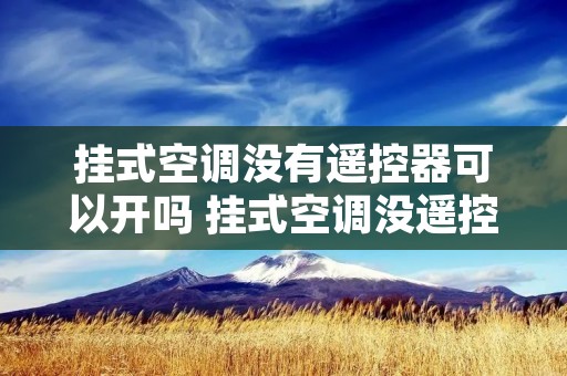 挂式空调没有遥控器可以开吗 挂式空调没遥控器能开吗 挂式空调没有遥控器可以开吗 挂式空调没遥控器能开吗