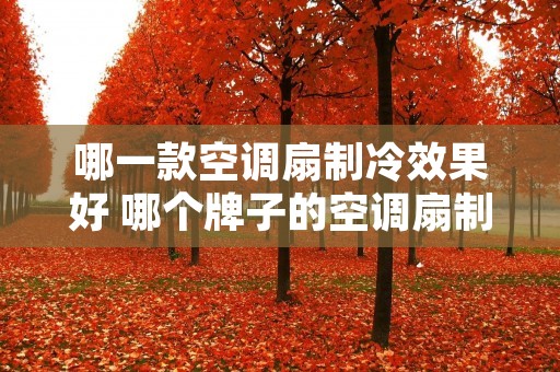 哪一款空调扇制冷效果好 哪个牌子的空调扇制冷效果最好