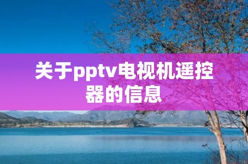 关于pptv电视机遥控器的信息