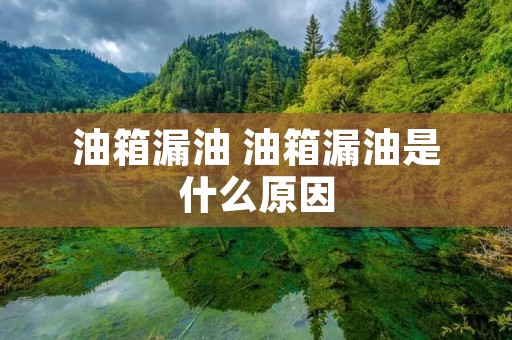 油箱漏油 油箱漏油是什么原因