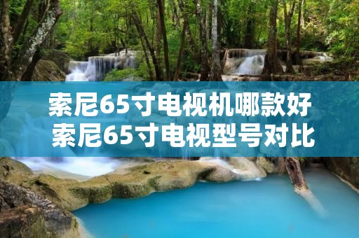 索尼65寸电视机哪款好 索尼65寸电视型号对比 索尼65寸电视机哪款好 索尼65寸电视型号对比