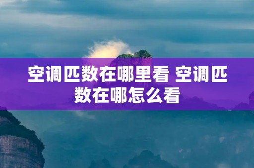 空调匹数在哪里看 空调匹数在哪怎么看