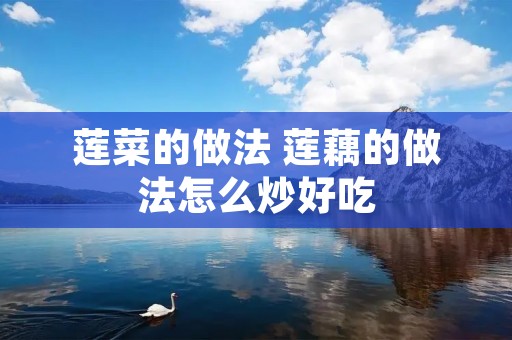 莲菜的做法 莲藕的做法怎么炒好吃