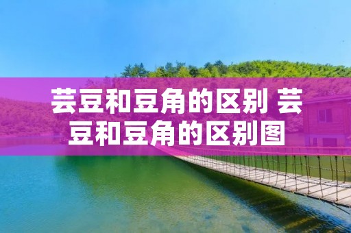 芸豆和豆角的区别 芸豆和豆角的区别图