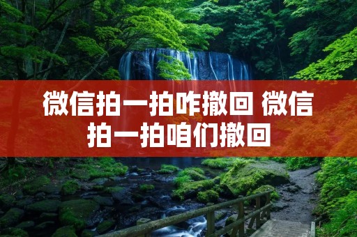 微信拍一拍咋撤回 微信拍一拍咱们撤回