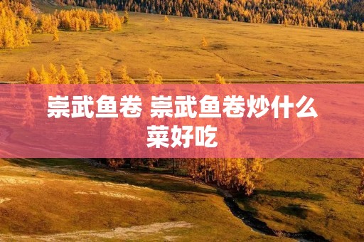 崇武鱼卷 崇武鱼卷炒什么菜好吃