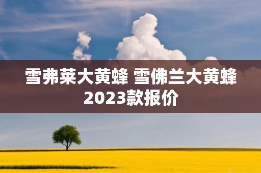 雪弗莱大黄蜂 雪佛兰大黄蜂2023款报价