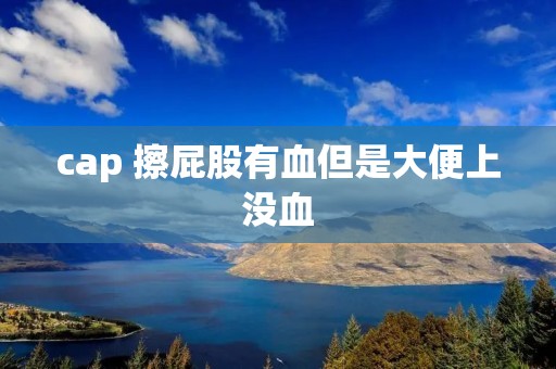 cap 擦屁股有血但是大便上没血