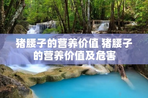 猪腰子的营养价值 猪腰子的营养价值及危害 猪腰子的营养价值 猪腰子的营养价值及危害