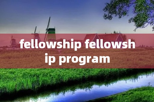 fellowship fellowship program fellowship fellowship program