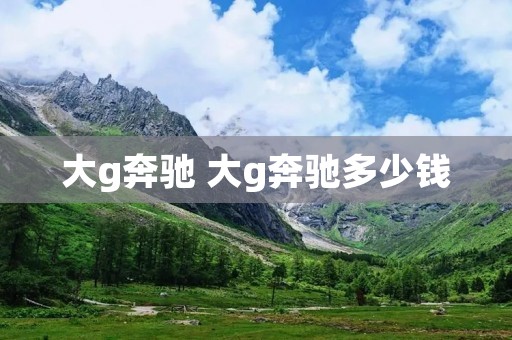大g奔驰 大g奔驰多少钱 大g奔驰 大g奔驰多少钱