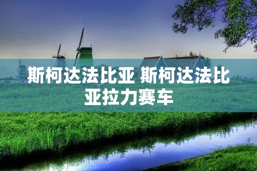 斯柯达法比亚 斯柯达法比亚拉力赛车