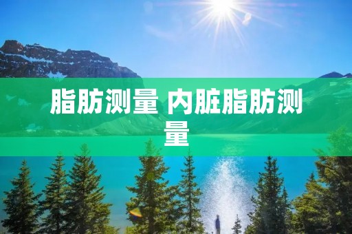 脂肪测量 内脏脂肪测量