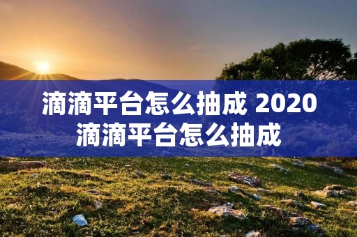 滴滴平台怎么抽成 2020滴滴平台怎么抽成 滴滴平台怎么抽成 2020滴滴平台怎么抽成