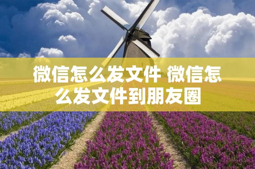微信怎么发文件 微信怎么发文件到朋友圈 微信怎么发文件 微信怎么发文件到朋友圈
