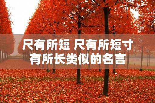 尺有所短 尺有所短寸有所长类似的名言