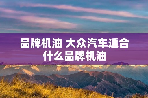 品牌机油 大众汽车适合什么品牌机油 品牌机油 大众汽车适合什么品牌机油