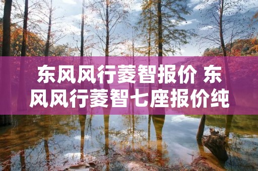 东风风行菱智报价 东风风行菱智七座报价纯电动 东风风行菱智报价 东风风行菱智七座报价纯电动