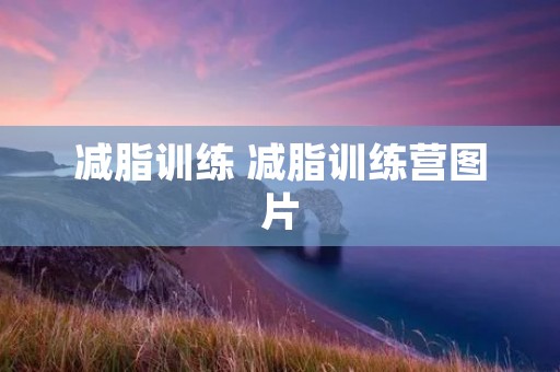 减脂训练 减脂训练营图片