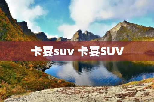 卡宴suv 卡宴SUV