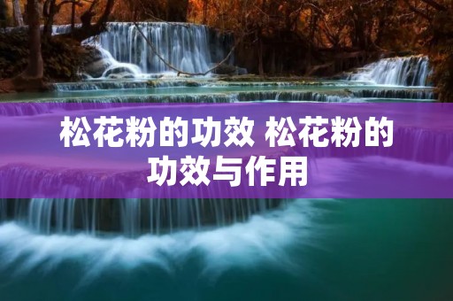 松花粉的功效 松花粉的功效与作用