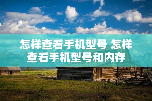 怎样查看手机型号 怎样查看手机型号和内存 怎样查看手机型号 怎样查看手机型号和内存