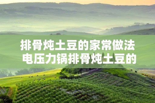 排骨炖土豆的家常做法 电压力锅排骨炖土豆的家常做法 排骨炖土豆的家常做法 电压力锅排骨炖土豆的家常做法