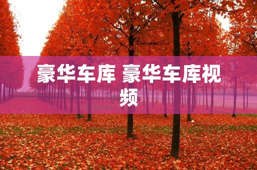 豪华车库 豪华车库视频