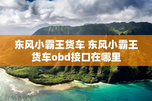 东风小霸王货车 东风小霸王货车obd接口在哪里