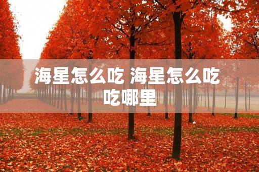 海星怎么吃 海星怎么吃 吃哪里