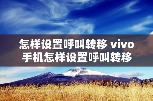 怎样设置呼叫转移 vivo手机怎样设置呼叫转移