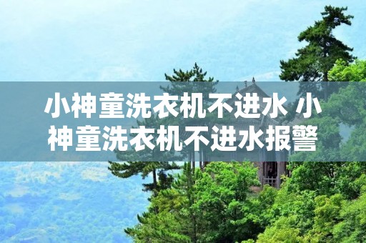 小神童洗衣机不进水 小神童洗衣机不进水报警