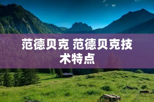 范德贝克 范德贝克技术特点