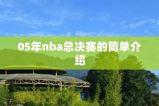 05年nba总决赛的简单介绍