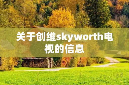 关于创维skyworth电视的信息