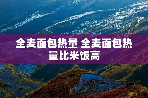 全麦面包热量 全麦面包热量比米饭高 全麦面包热量 全麦面包热量比米饭高