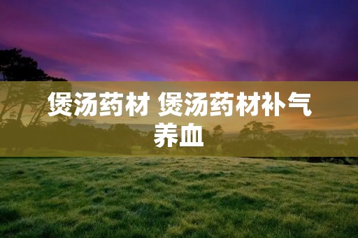 煲汤药材 煲汤药材补气养血