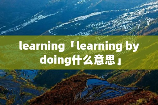 learning「learning by doing什么意思」